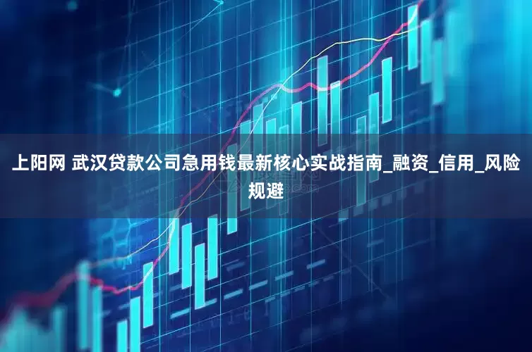 上阳网 武汉贷款公司急用钱最新核心实战指南_融资_信用_风险规避