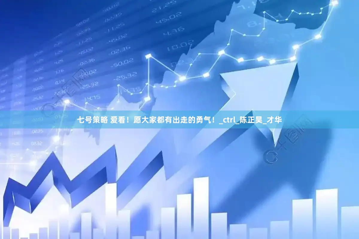 七号策略 爱看！愿大家都有出走的勇气！_ctrl_陈正昊_才华